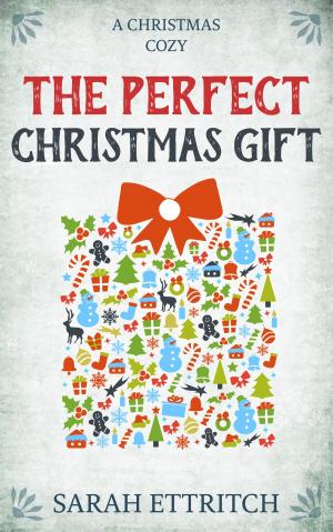 Cover of the book The Perfect Christmas Gift by Sarah Ettritch