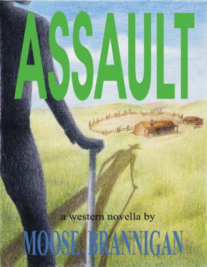 Cover of the book Assault by Richard Mousseau