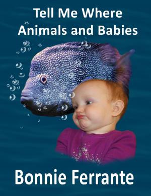 Cover of Tell Me Where Animals and Babies
