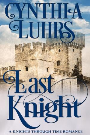 Book cover of Last Knight