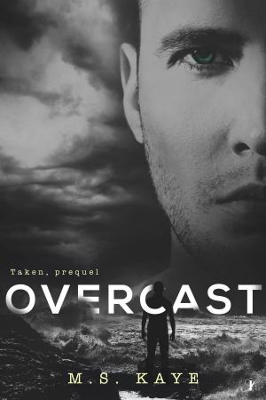 Cover of the book Overcast by Tammy Mannersly