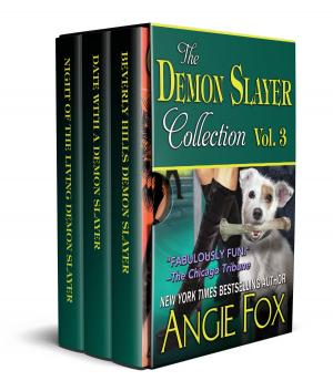 Cover of Accidental Demon Slayer Boxed Set, Vol 3 (Books 6, 6.5, 7)