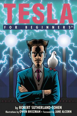 Cover of the book Tesla For Beginners by David Cogswell