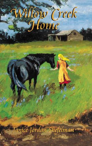 Cover of the book Willow Creek Home by Anne Phillips