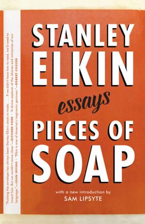 Cover of the book Pieces of Soap: Essays by Jim Krusoe