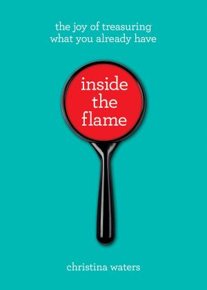 Cover of the book Inside the Flame by Bodhipaksa