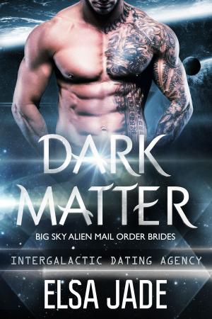 Cover of the book Dark Matter by Jean-Claude Dunyach