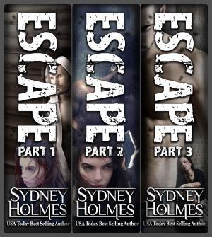 Book cover of Escape Series Books 1-3