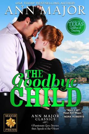 Book cover of The Goodbye Child