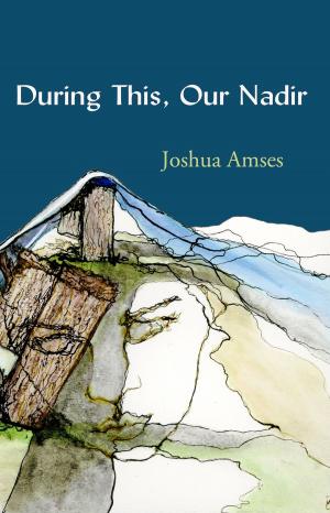 Cover of the book During This, Our Nadir by Audrey Hart
