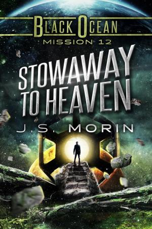 Cover of the book Stowaway to Heaven by Xavier P. Hunter