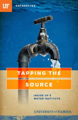 Cover of the book Tapping the Source by Gail Saunders