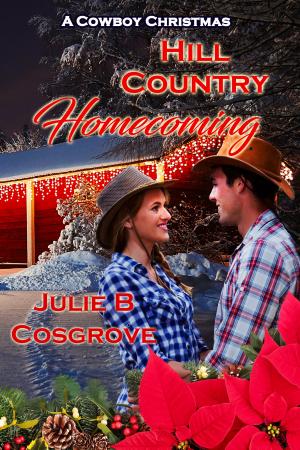 Cover of the book Hill Country Homecoming by Sarah Tipton