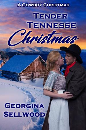 Cover of the book Tender Tennessee Christmas by Marianne Evans