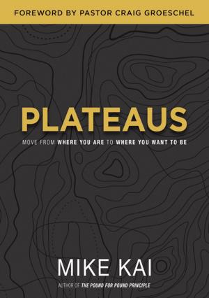 Cover of the book Plateaus by Myles Munroe
