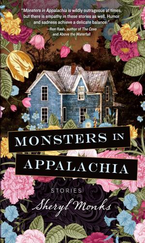 Cover of the book Monsters in Appalachia by Jared Talbert