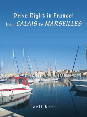 Book cover of Drive Right in France – from Calais to Marseilles