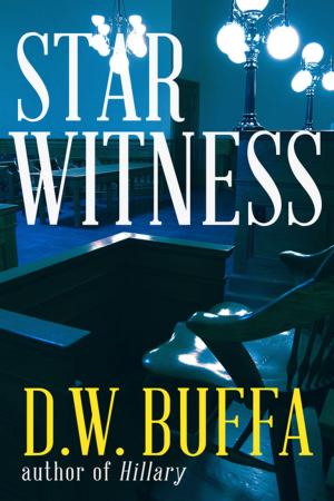 Cover of the book Star Witness by J.D. Rhoades