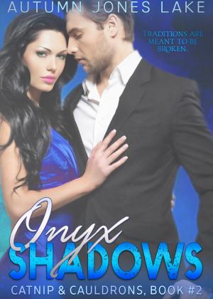 Cover of the book Onyx Shadows by Avery Flynn