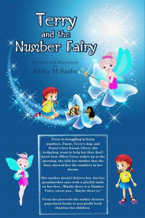 Cover of the book Terry And The Number Fairy by Erika M Szabo, Joe Bonadonna