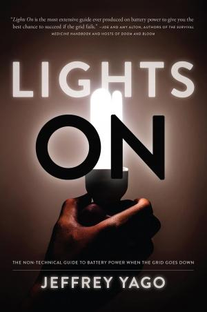 Cover of the book Lights On by Leo Hohmann