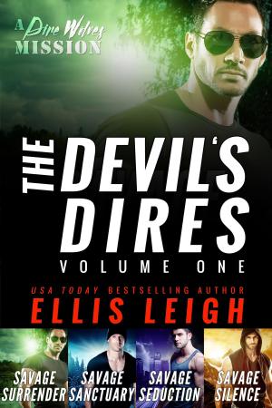 Cover of the book The Devil's Dires by Misha Hikaru, Michael Wonderguy