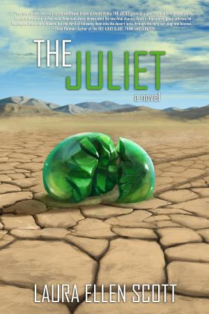 Cover of the book The Juliet by Dana Faletti