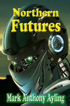 Cover of the book Northern Futures by Ken Lizzi