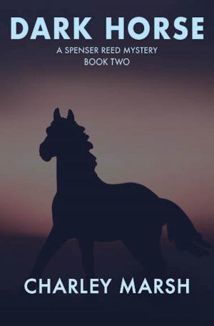 bigCover of the book Dark Horse by 
