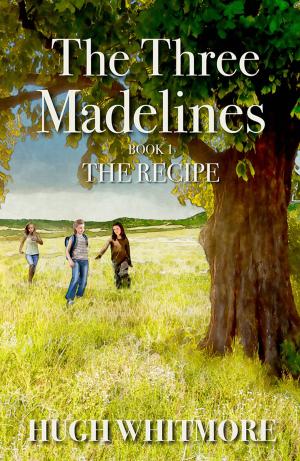 bigCover of the book The Three Madelines by 