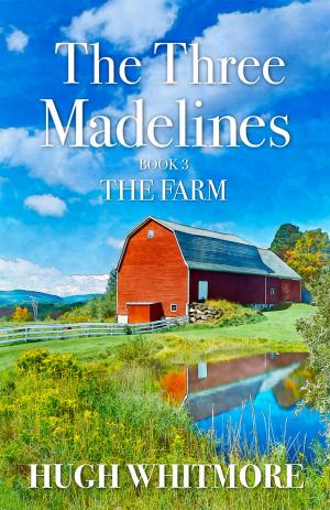 Cover of the book The Three Madelines by Doug Ward