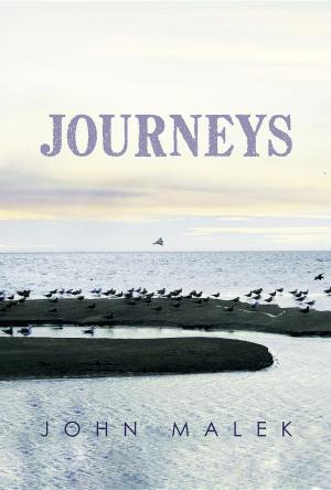 Cover of the book Journeys by Christelle Angano