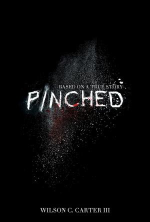 Cover of the book Pinched by Linda Landwehr