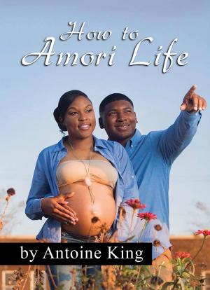 Cover of the book How to Amori Life by Ócha'ni Lele