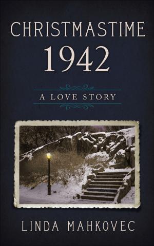 Cover of the book Christmastime 1942: A Love Story by Meredith M. Day