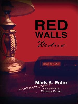 Cover of the book Red Walls Redux by Faye Kilday