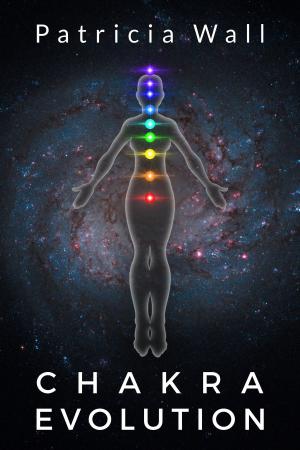 bigCover of the book Chakra Evolution by 