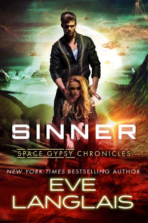Cover of the book Sinner by Ellen Mellor