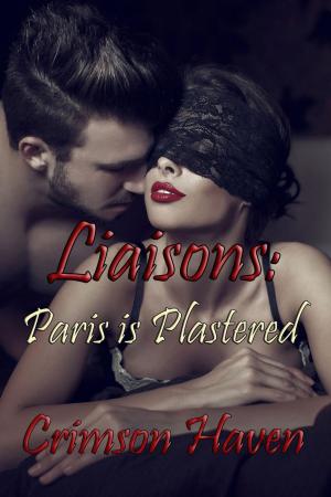 Cover of the book Liaisons: Paris is Plastered by MJL Evans, GM O'Connor