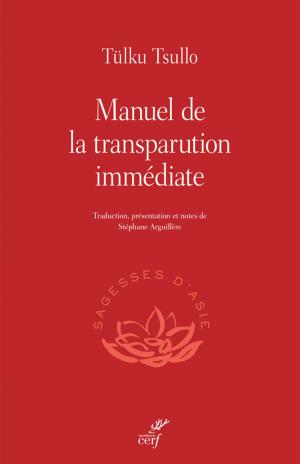 Cover of Manuel de la transparution immédiate