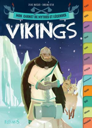 Cover of the book Vikings by Hélène Grimault, Émilie Beaumont