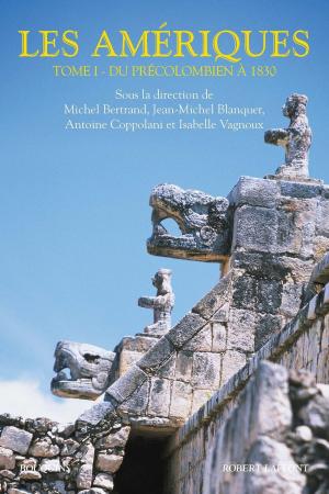 Cover of the book Les Amériques - Tome 1 by Michel DANSEL