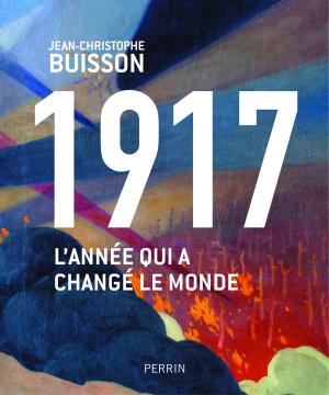 Cover of the book 1917, l'année qui a changé le monde by Ann CLEEVES