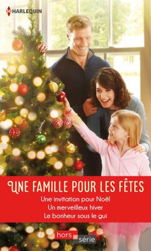 Cover of the book Une famille pour les fêtes by Elizabeth Goddard