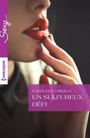 Cover of the book Un sulfureux défi by Cathy McDavid