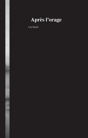 Cover of the book Après l'orage by Bernhard J. Schmidt