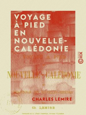 Book cover of Voyage à pied en Nouvelle-Calédonie et description des Nouvelles-Hébrides