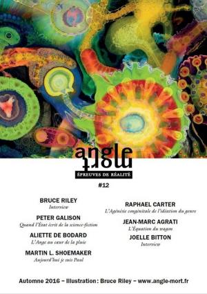 bigCover of the book Angle Mort numéro 12 by 