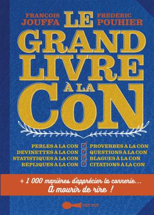 Cover of the book Le Grand Livre à la con by Anica Walston