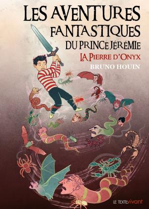 Cover of the book La pierre d'Onyx by Jérôme Attal, Naïri Nahapetian, Michael Seilhan-Ibrahim